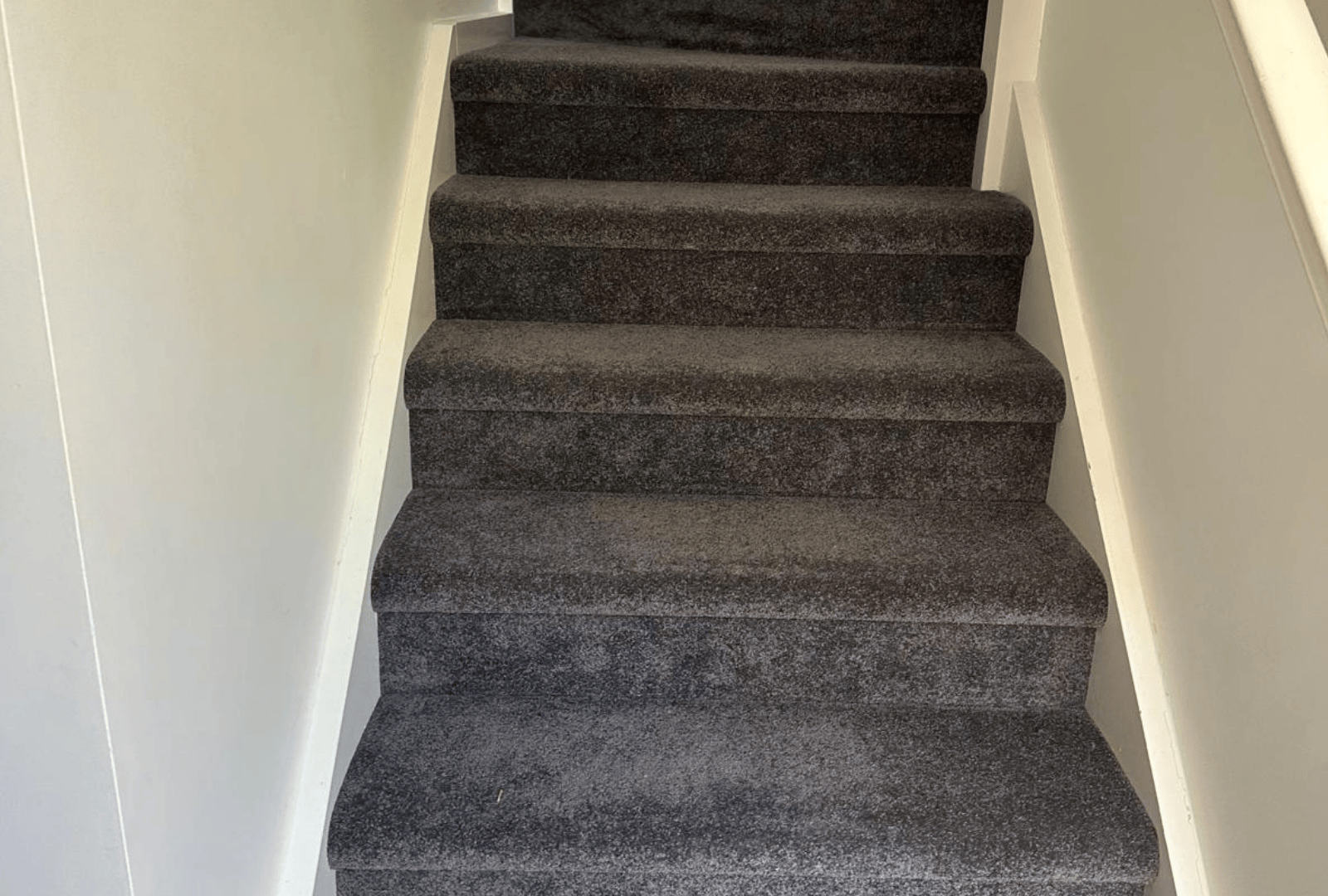 Untitled design - 2025-10-29T085754.047